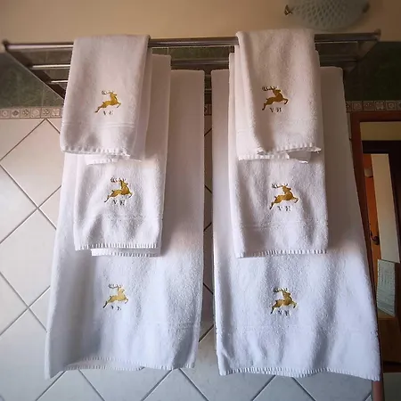 Bed & Breakfast Hirschen 3*
